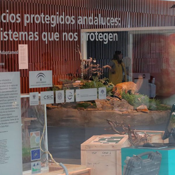 Cristalera de la exposición temporal Ventana de la Ciencia "Espacios protegidos andaluces: ecosistemas que nos protegen".