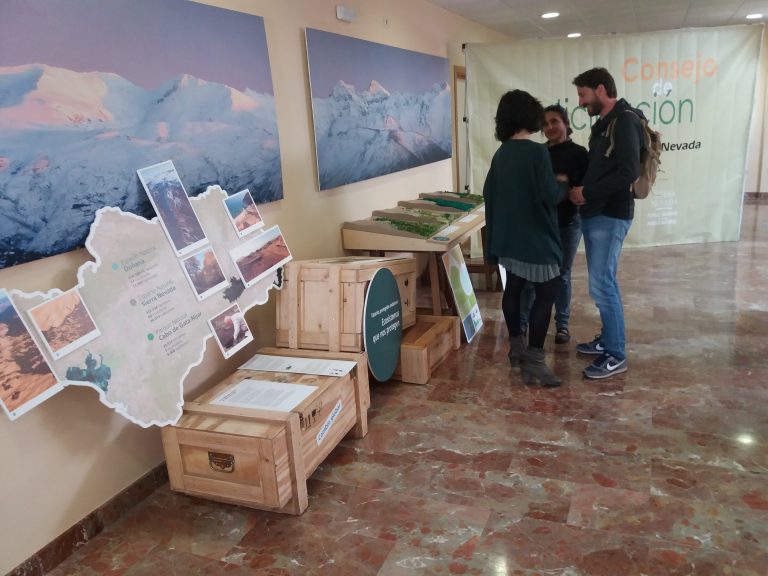 Comisión Seguimiento Life Adaptamed