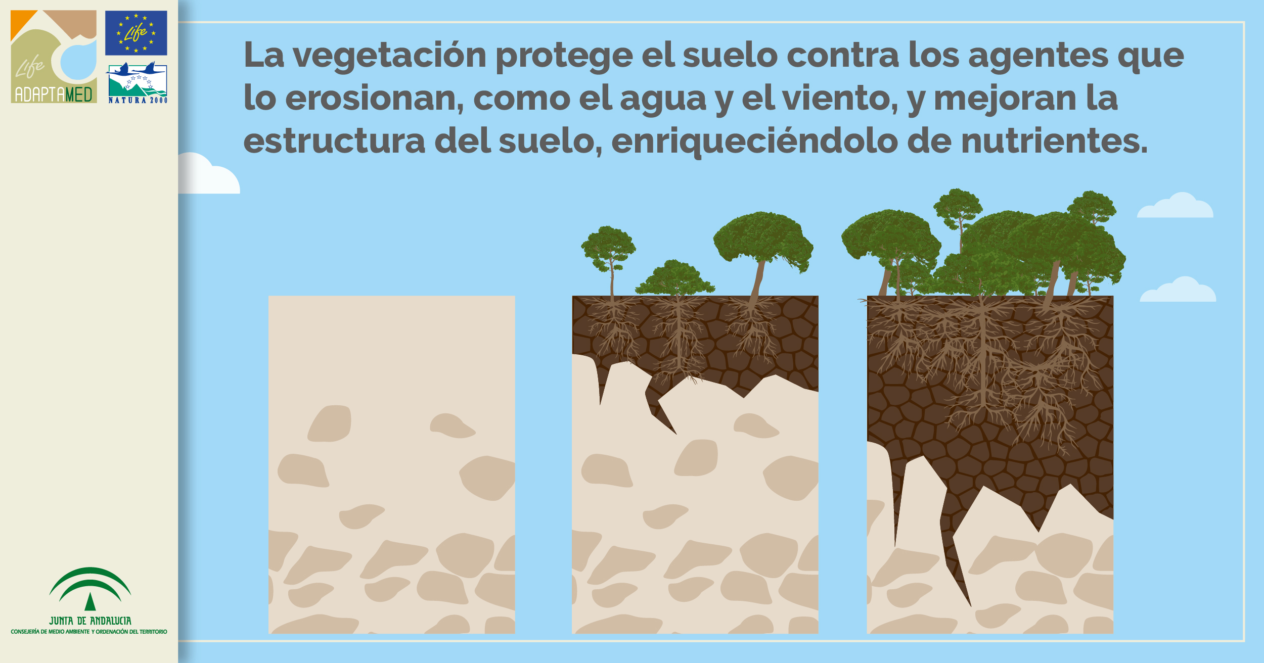 vegetación y suelo