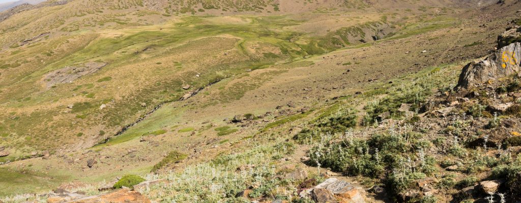 acequia en Sierra Nevada