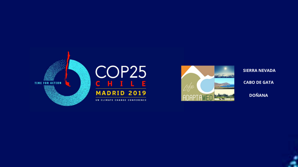 ¿De qué temas están hablando los gobiernos en la Cumbre del Clima de Madrid COP25?