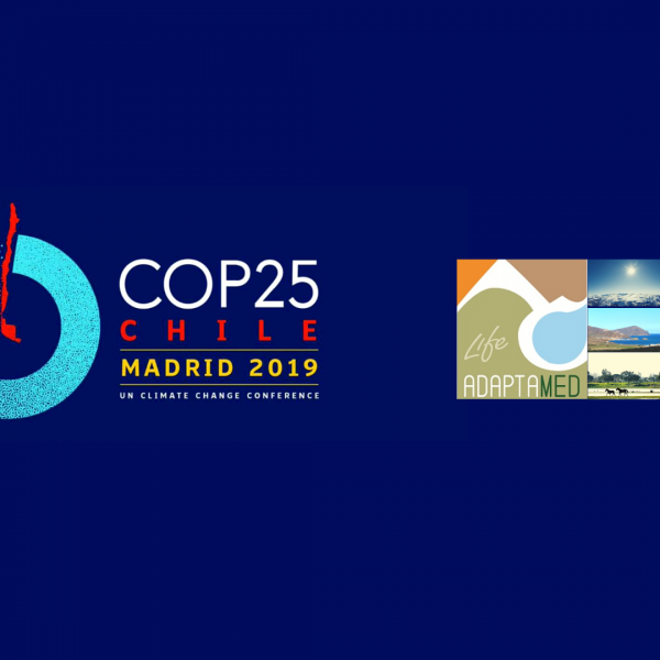 cumbre del clima en madrid 2019 cambio climatico cop25