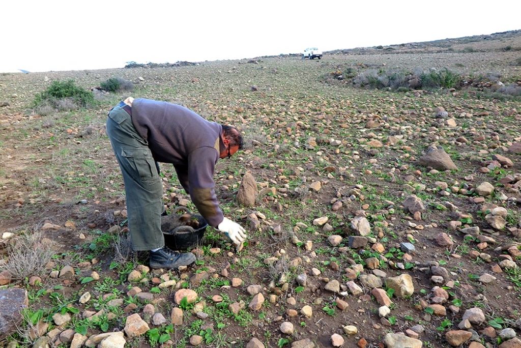 balates parque natural cabo de gata nijar life adaptamed