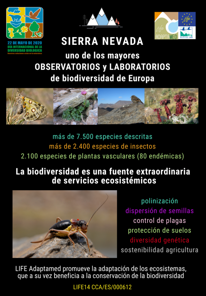 Infografía Día Internacional de la Diversidad Biológica