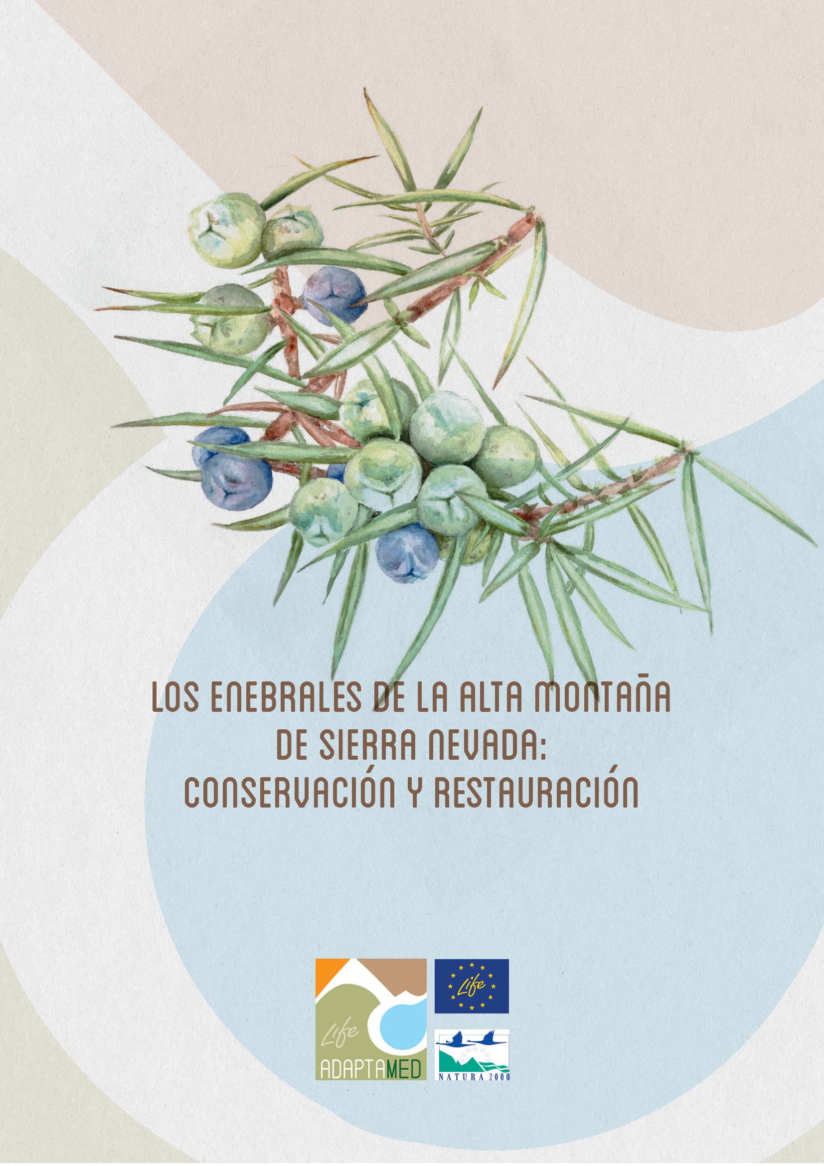 Los enebrales de la alta montaña de Sierra Nevada: conservación y resturación